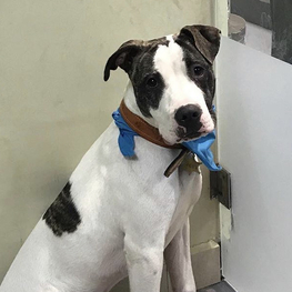 D 72b08e1a 9898 46c3 995f 7e2a33704d33