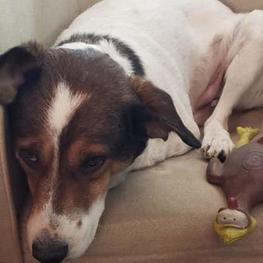 D 3ad748b3 b1d0 431f a663 2b8e111e3af5