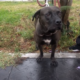 D 9ad5b0d1 0576 458f add0 93bc38e26c15