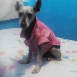 D 93f2d82c be04 433b 9063 6caaa79553c2