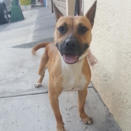 D 6524e575 c0dc 47f5 b18b 33908e6d7043