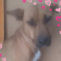 D 0fb450b6 008c 43c7 a290 1411f8cc1b11