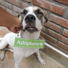 D 2b2d1282 fee9 443f bc66 83fc34249390