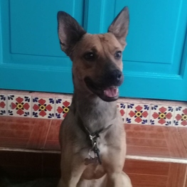 D 02bfaae0 d011 496b 9951 bc1ccd9235ed