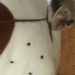 D 9e47335e 9fc5 4b93 81ac 46072a0c2cc5