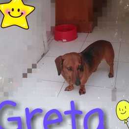 D e21b22a8 d850 4e39 924f 40e19fa50974