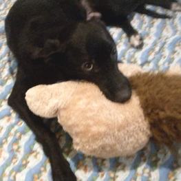 D c76a2ad5 6162 4ed3 94b4 5955e1baa94c