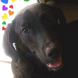 D a72c7dcd 02c1 4948 848d 561b9b2f234d