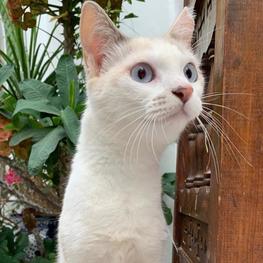 D 00377137 2508 4bcf a379 c14d7d830ac5