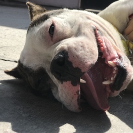 D 1ab1a00a 3964 4057 8282 c484893877a4