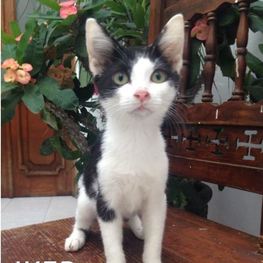 D 47578a9d 69b2 4028 a0a3 4f1979cf6c5d