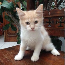 D 05fb5509 5cfe 4407 be2d 452d57eb252d