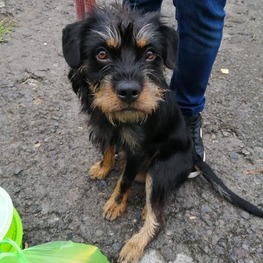 D acc77420 82d9 4cf2 ad87 aa35ee9c5352