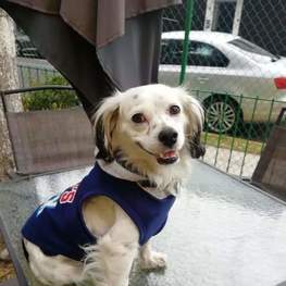 D 7ff1c211 4637 4774 a80b aa68ec306595