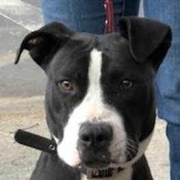 D 13619474 8def 4c53 a719 778aa6e80ced