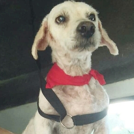 D 28d30e35 eaa4 4d42 bf98 6273a19d1f34