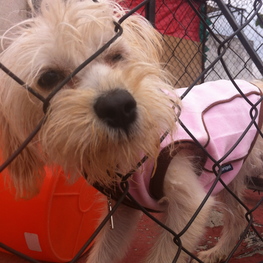 D 321fe5c6 8b19 4f4f a86b 44ad8b3e6595