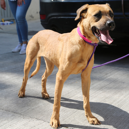 D da9318da 881c 4ace 8b73 006ad21bacc9