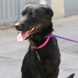 D edf872ae e324 47e0 9cbc a4071968a419