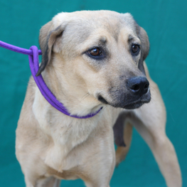 D 5c64e997 320a 40cb 91cb 6bbab34fd670