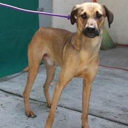 D 162efb6c 291c 4815 b71a 602a62390fc1