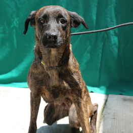 D 184be6a0 98b7 44bd 9f7c bcb45742d91b