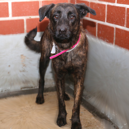 D 46b4b6f9 c892 4db0 9f68 0d7b8f9282f3