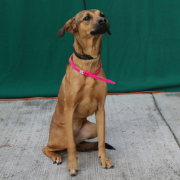 D 2c40f9be 6830 4625 adfb 10676da1187a