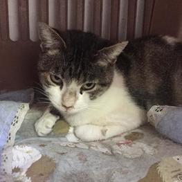 D 29804c55 9719 459f 828e ca08741a7974