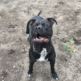 D 67f3d02d 4d43 4120 888a 000d3f0a17ac