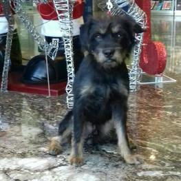 D 03863c5a c6c3 40f1 a1ce 1dcd85e87476