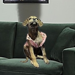 D 08c5991a a1d1 40b7 9457 d1ab003aa6f7