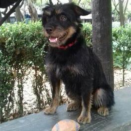 D acfb5dd1 7c4c 4c3d 9365 b74fb62a424f