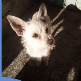 D 5568b607 2f44 491f acb9 57b8f8288389