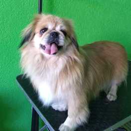 D cc8d1945 5ab2 47d3 92e7 259318989497