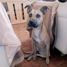 D ad8a79b1 cd9a 42a7 9a2f ddd53e840a6b