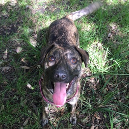 D 1a9ef408 c002 48b1 883f edd7bbd929cd