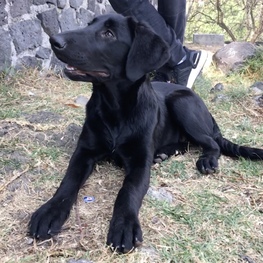 D 20e77c73 8686 4d44 badc 2c3dca9f69c0