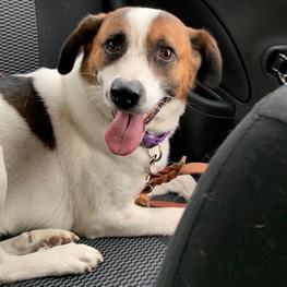 D edbdee49 bcca 4962 acef 3a4bdfe2327f