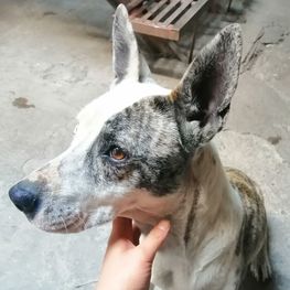 D 196e6d8e 2291 4f6e 9c1a c628930485d6