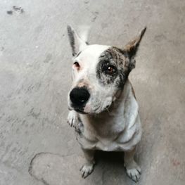 D 028b0d73 3f57 4884 8552 b39d15b7524d