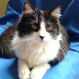 D 1e2ae9e8 14f4 4251 aaf8 4fc79b8853fd