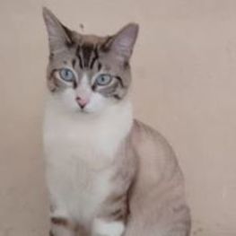 D 8cddc303 e9a3 452b b0a6 3c88fb4e6db3