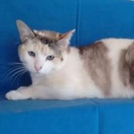 D 27a9d046 aab2 4ea8 b3b2 843b91c586de