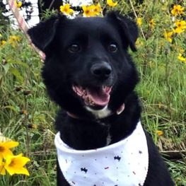 D 81092df7 aa47 4a5d a716 bbdb5ad95a0d