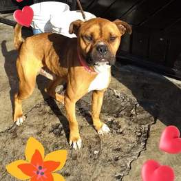 D f81a4ccf ff29 445e b964 c4616616f79b