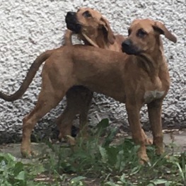 D 5fe97862 b7eb 493d 9503 6241ebc3ece0