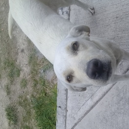 D 873730e2 d1ed 4d2b bdfe 05451c47fc34