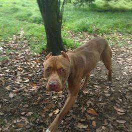 D db670066 28b2 49c8 a0b4 0d3f1b307378