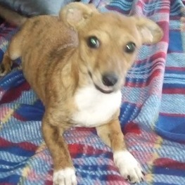 D 8dc0c653 f321 4a2b baba e8363d2f6ee7